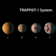 Artist’s rendering of the TRAPPIST-1 planetary system. (Image: NASA/JPL-Caltech)